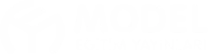 Model Eğitim Yayınları